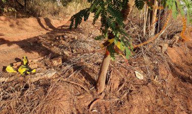 Morador de Americana é identificado como homem encontrado esquartejado e sem cabeça em Presidente Epitácio