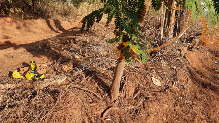 Morador de Americana é identificado como homem encontrado esquartejado e sem cabeça em Presidente Epitácio