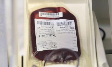Casos de covid-19 e de gripe diminuem doações de sangue no DF