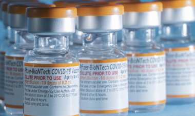 Pfizer entrega mais 1,8 milhão de doses de vacina pediátrica no dia 24