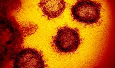 Brasil registra 23,7 milhões de casos de covid-19