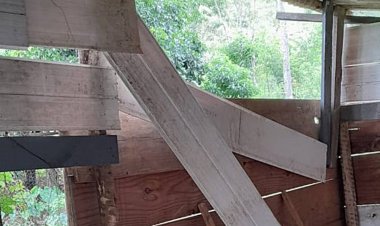 Nova aparição de onça-parda próximo de área urbana em Leopoldina provoca apreensão e prejuízo de morador