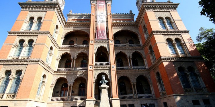 Rio: vacina e isolamento podem ter evitado 66 mil mortes por covid-19