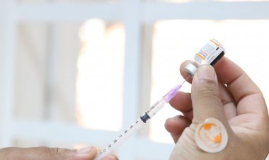 Domingo tem vacinação contra covid-19 e gripe na capital paulista