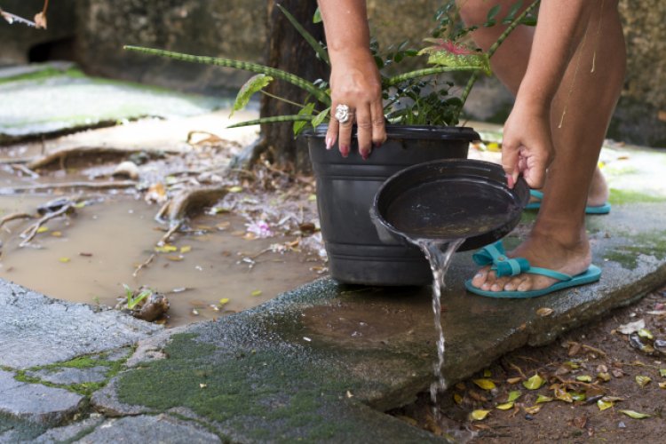 Saúde repassa R$ 40 milhões para combate ao mosquito da dengue nos municípios mineiros