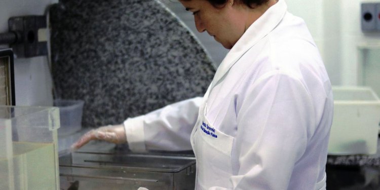 Mulheres são 46% do total de pesquisadores da América Latina e Caribe