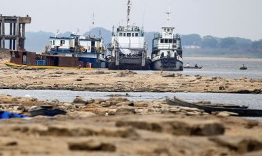Decreto concede desconto no crédito rural de agricultores familiares 