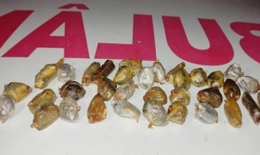 Detento é flagrado com droga no estômago ao voltar para o presídio