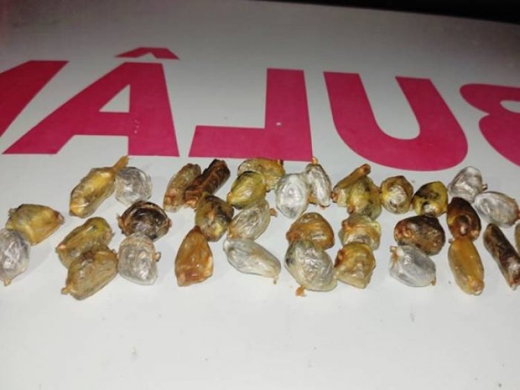 Detento é flagrado com droga no estômago ao voltar para o presídio