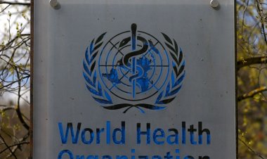 Missão brasileira participa de assembleia da OMS na Suíça