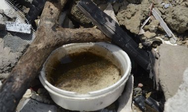 Casos de dengue no estado do Rio de Janeiro crescem 177% em 2022