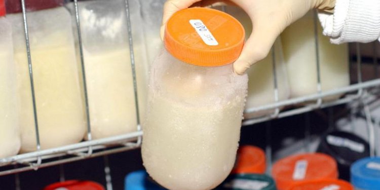 Doação de leite humano só atende metade da demanda no Brasil