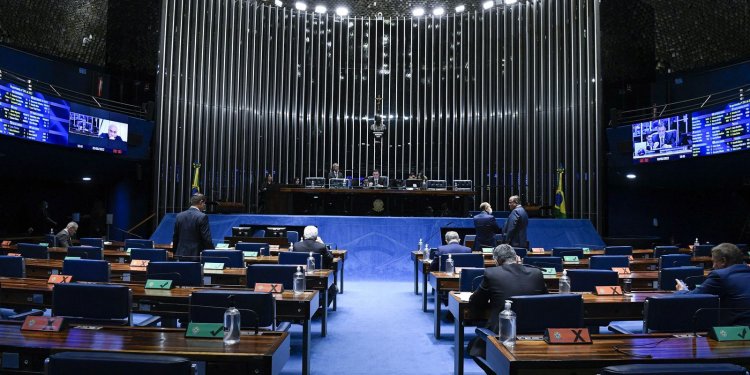 Senado aprova legislação para cães de apoio emocional