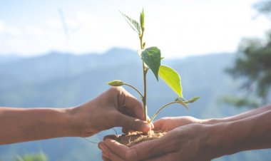 Águas de Ubá: Produtores rurais recebem parcelas do PSA 2021