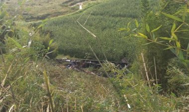 Carreta cai em ribanceira na BR-116 próximo à Serra da Vileta em Leopoldina