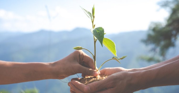 Águas de Ubá: Produtores rurais recebem parcelas do PSA 2021