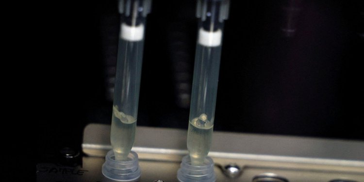 Laboratório da Fiocruz será referência em varíola dos macacos