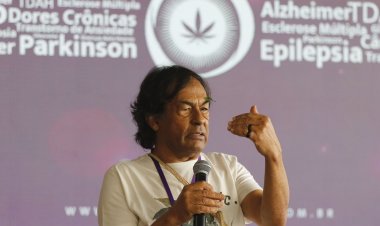 Saúde: pesquisa e uso da cannabis avançaram no Brasil nos últimos anos