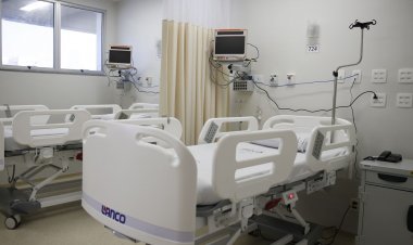 ZM News explica como funciona a doação de medula óssea no país