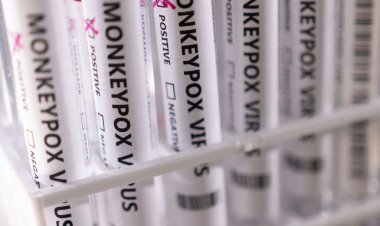 Brasil negocia compra de vacina contra varíola dos macacos