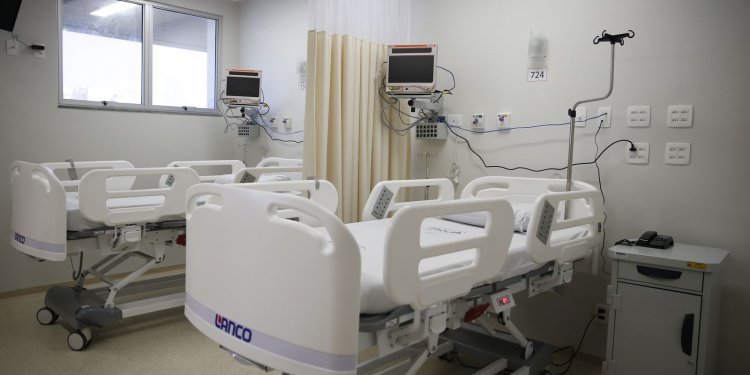 ZM News explica como funciona a doação de medula óssea no país