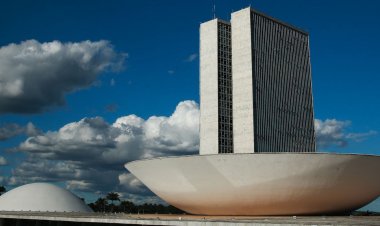 Conheça as atribuições específicas de deputados federais