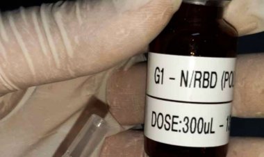 Covid-19: vacina brasileira mira variantes e facilidades logísticas