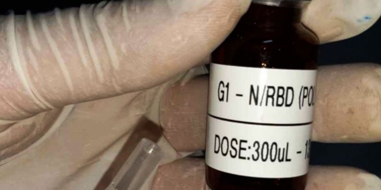 Vacina brasileira contra covid-19 pode ter testes em humanos em 2023