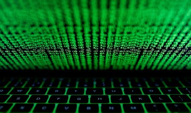 Fibra óptica de alta velocidade vai conectar universidades paulistas