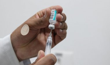 Senado aprova MP que revoga exigência de repasse de vacinas ao SUS