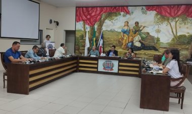 Vereadora Aline apoia Mobilização Nacional pela Saúde Mental Materna