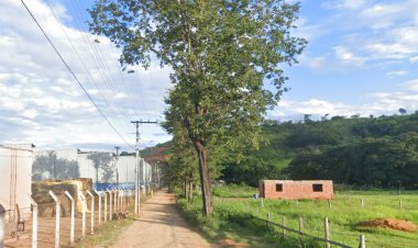 Ubá: Comunicado sobre poda de árvores na rua João Sperandio