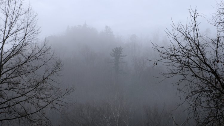 Temperaturas devem despencar 5ºC em mais de 500 cidades mineiras; Ubá está na lista, confira