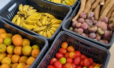 Ubá receberá R$ 1,2 milhão para Programa de Aquisição de Alimentos