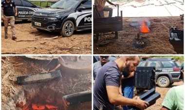 PCMG incinera cerca de 700 quilos de maconha em Muriaé