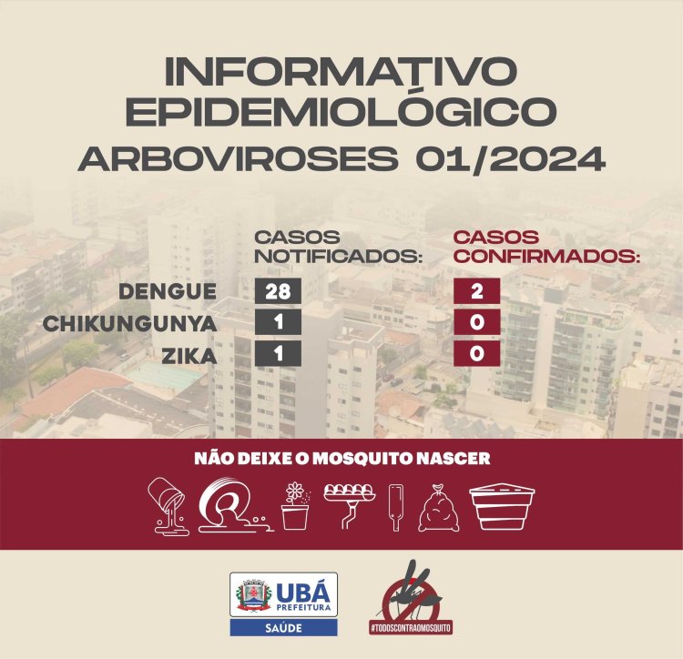Informativo Epidemiológico de Arboviroses 01/2024