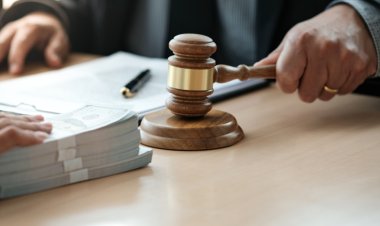 Prefeitura de Ubá realiza leilão de animais apreendidos