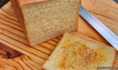 Pesquisa mostra presença de álcool em pães de forma