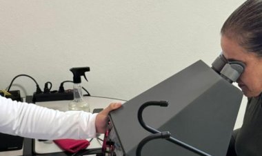 Governo de Minas inicia agendamento on-line de exames médico e psicológico para CNH