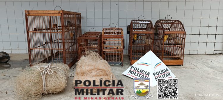 Astolfo Dutra: Dois autores são multados por Cativeiro irregular de Fauna Silvestre