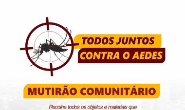 Mutirão contra o Aedes: caminhão passará recolhendo criadouros do mosquito