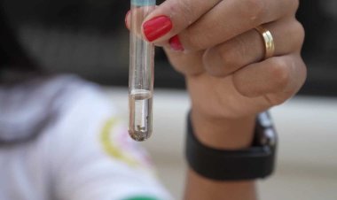 4º LIRAa de 2024 aponta médio risco para infestação do Aedes