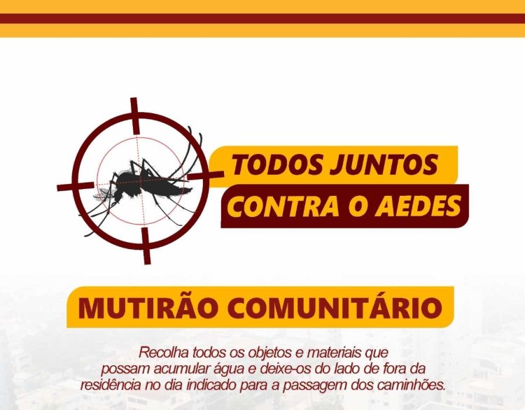 Mutirão contra o Aedes: caminhão passará recolhendo criadouros do mosquito