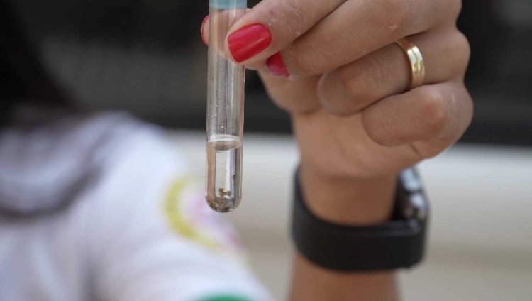 4º LIRAa de 2024 aponta médio risco para infestação do Aedes