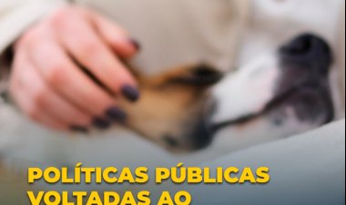 Viçosa amplia compromisso com a causa animal e cria o Departamento de Bem-Estar Animal