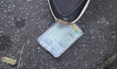 Perdeu documentos durante o Carnaval? Saiba como solicitar a segunda via nos canais oficiais do Governo de Minas