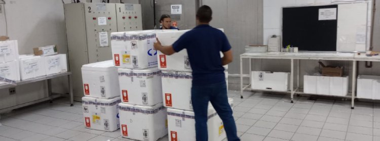 Minas Gerais inicia distribuição de 640 mil doses da vacina contra a Influenza