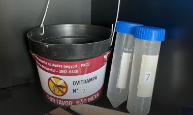 Município de Viçosa utiliza método inovador para identificar sorotipos da dengue