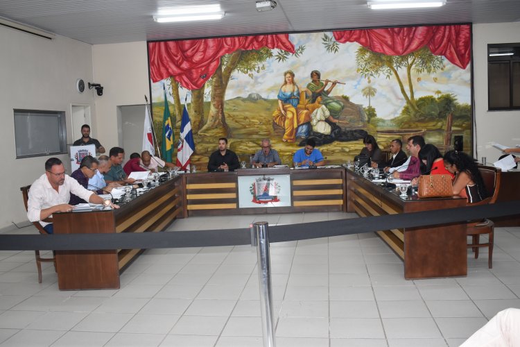 Câmara Municipal de Ubá aprova instituição do Dia Municipal de Conscientização da Luta em Prol das Pessoas com Deficiência