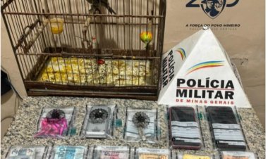 Polícia Militar prende casal por tráfico de drogas e apreende adolescente em operação no bairro Pedra Branca, em Guidoval